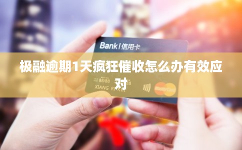 极融逾期1天疯狂催收怎么办有效应对