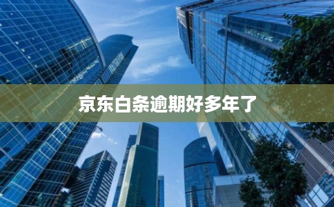 京东白条逾期好多年了