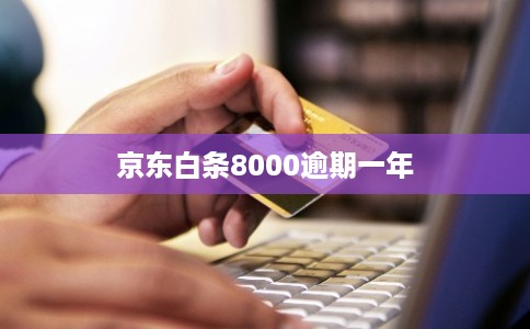 京东白条8000逾期一年