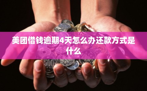 美团借钱逾期4天怎么办还款方式是什么