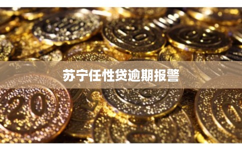 苏宁任性贷逾期报警