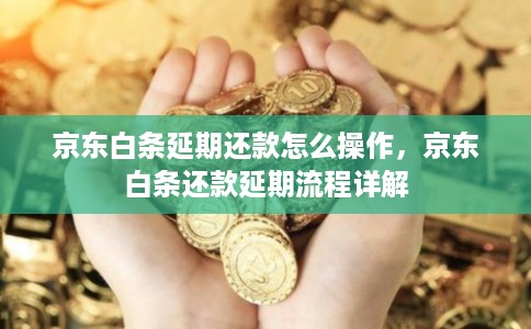 京东白条延期还款怎么操作，京东白条还款延期流程详解