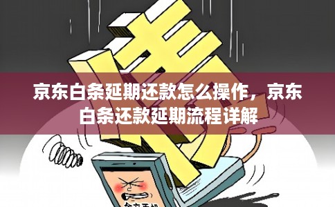 京东白条延期还款怎么操作，京东白条还款延期流程详解