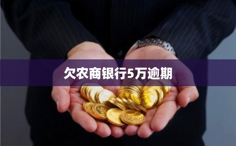 欠农商银行5万逾期