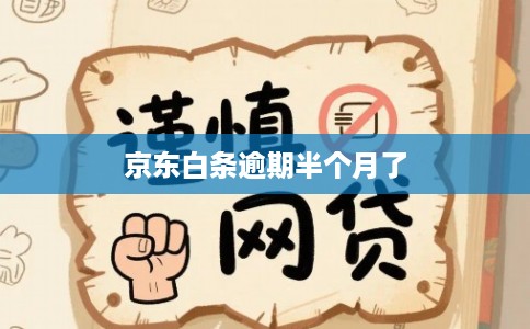 京东白条逾期半个月了