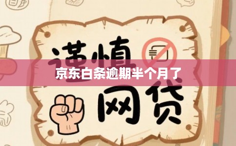 京东白条逾期半个月了
