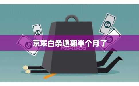 京东白条逾期半个月了