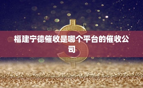 福建宁德催收是哪个平台的催收公司