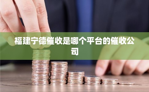 福建宁德催收是哪个平台的催收公司