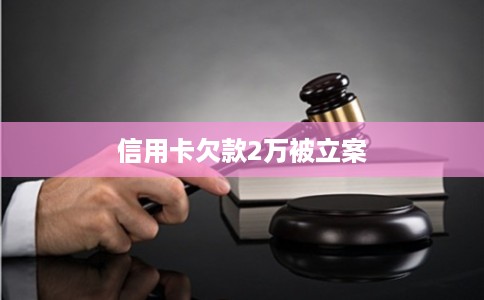 信用卡欠款2万被立案