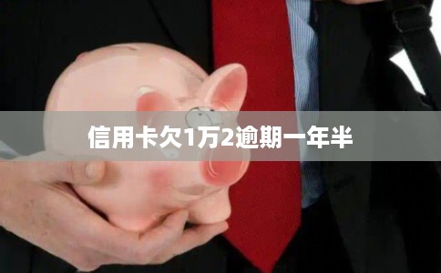 信用卡欠1万2逾期一年半