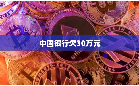 中国银行欠30万元 中国银行欠30万元