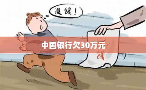 中国银行欠30万元 中国银行欠30万元
