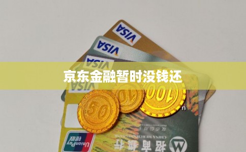 京东金融暂时没钱还