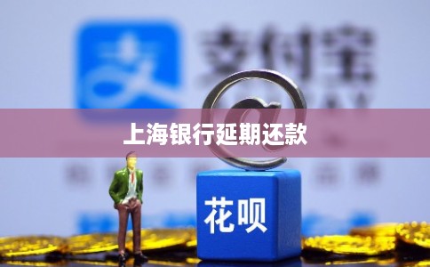 上海银行延期还款