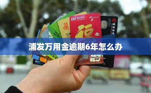 浦发万用金逾期6年怎么办