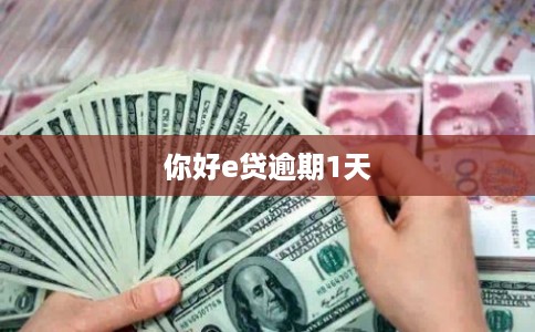 你好e贷逾期1天