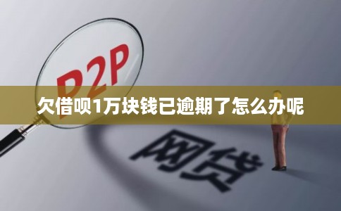 欠借呗1万块钱已逾期了怎么办呢