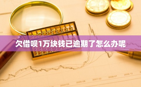 欠借呗1万块钱已逾期了怎么办呢