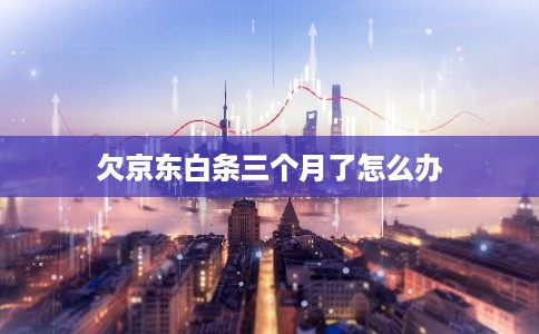 欠京东白条三个月了怎么办