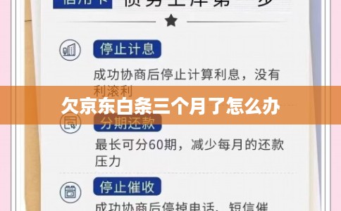 欠京东白条三个月了怎么办