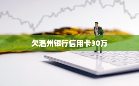 欠温州银行信用卡30万