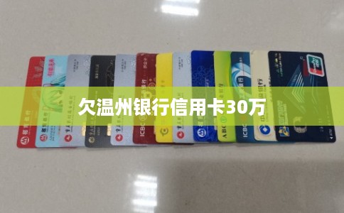 欠温州银行信用卡30万