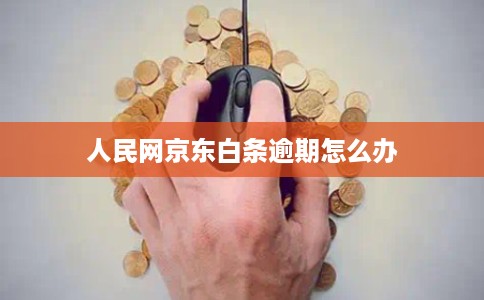 人民网京东白条逾期怎么办