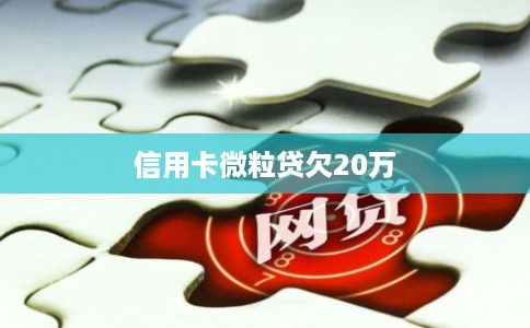 信用卡微粒贷欠20万