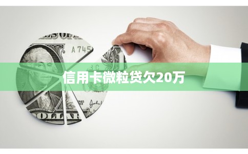 信用卡微粒贷欠20万