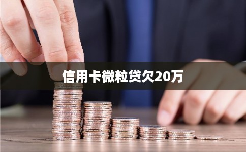 信用卡微粒贷欠20万