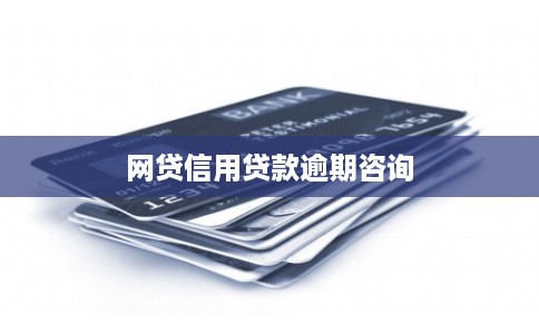 网贷信用贷款逾期咨询