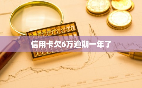 信用卡欠6万逾期一年了