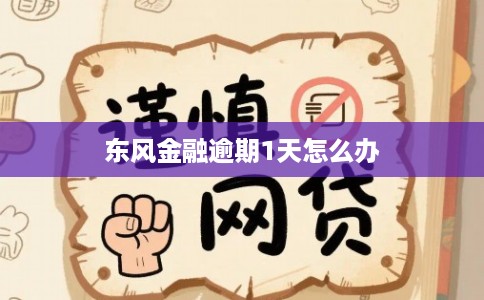 东风金融逾期1天怎么办