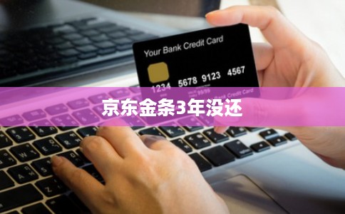 京东金条3年没还
