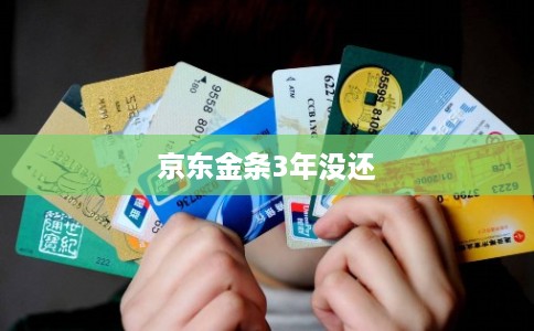 京东金条3年没还