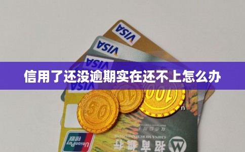 信用了还没逾期实在还不上怎么办