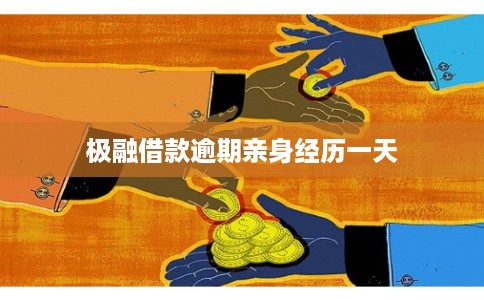 极融借款逾期亲身经历一天