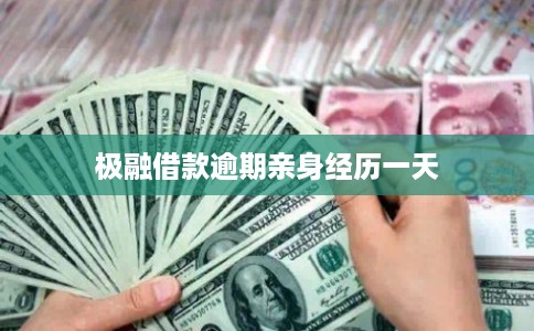 极融借款逾期亲身经历一天