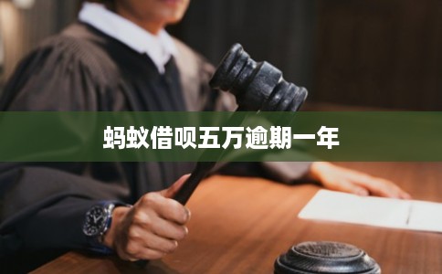 蚂蚁借呗五万逾期一年