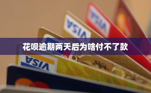 花呗逾期两天后为啥付不了款