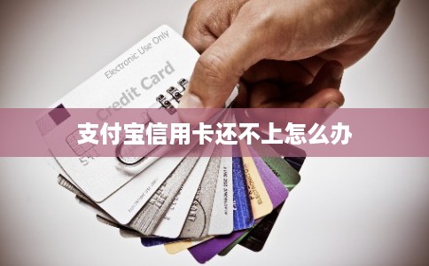 支付宝信用卡还不上怎么办 支付宝信用卡还不上怎么办