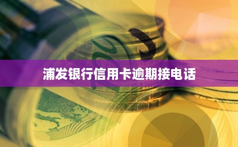 浦发银行信用卡逾期接电话