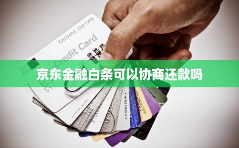 京东金融白条可以协商还款吗