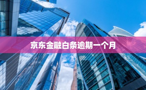 京东金融白条逾期一个月
