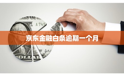 京东金融白条逾期一个月