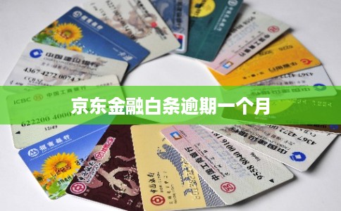 京东金融白条逾期一个月
