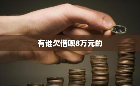 有谁欠借呗8万元的