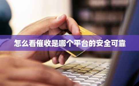 怎么看催收是哪个平台的安全可靠