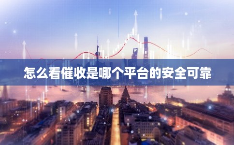 怎么看催收是哪个平台的安全可靠